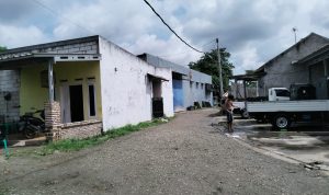 IMG-20250320-WA0005
